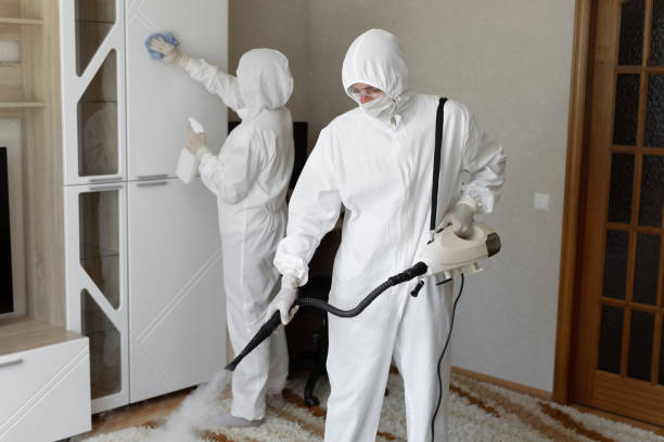 Best HVAC Mold Remediation in Weston, WV
