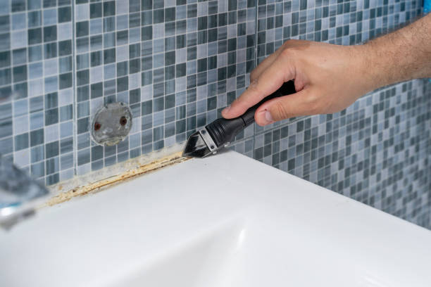 Professional Mold Remediation in Weston, WV