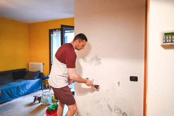 Best DIY Mold Remediation Support Services in Weston, WV